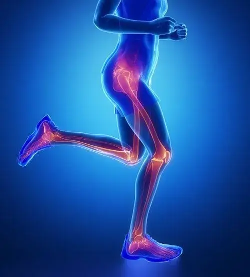 Stem Cell Therapy
